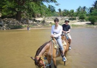 Caballos bebiendo agua